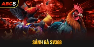 Sảnh gà SV388